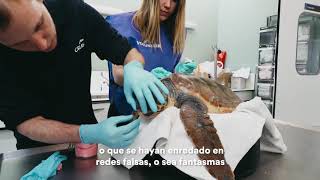 Fundación CRAM