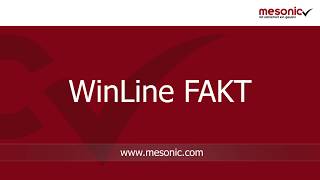 mesonic WinLine FAKT - Inventur screenshot 3
