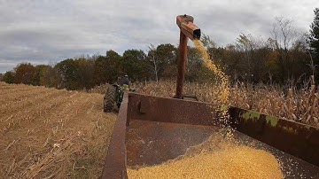 Shelling Corn with New Idea Corn Picker