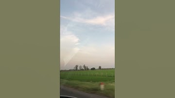 Đồng Lúa Trên Cao Tốc Rạch Sỏi-Lộ Tẻ #mientay #canhdep #travel #dulich #thiennhien #nature #vanhoa