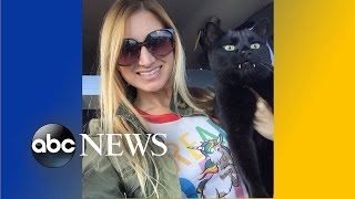 Vampire-Toothed Cat Looks Just Like Dracula