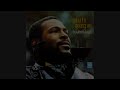 Marvin Gaye - Mercy Mercy Me (The Ecology) [playlist-friendly]