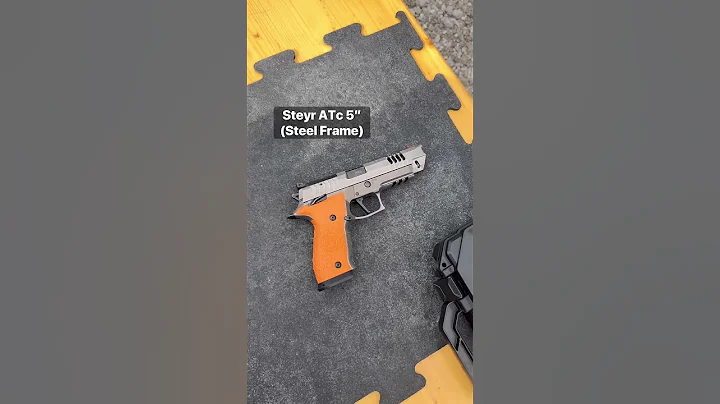 Steyr ATd and ATc First Shots