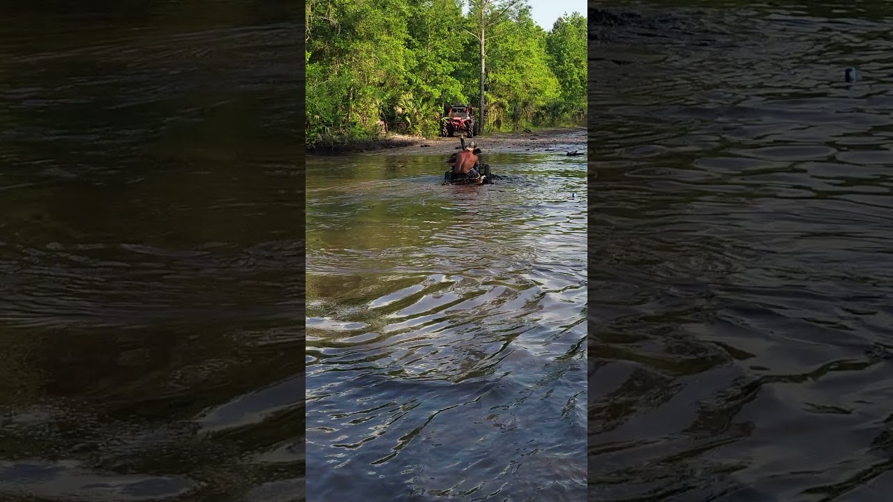 Fun times at Hogwaller