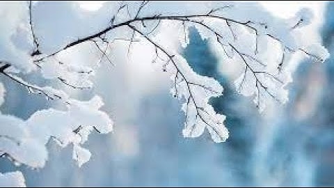 Learn to Make Snow Effect in Blender 2.9