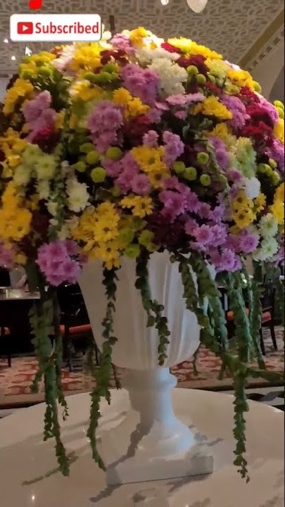 Beautiful Flower #flowers #shorts #thinkandsplash #beautiful