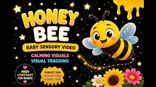 Honey Bee Baby Sensory Video | Calming Visuals | Visual Tracking for Babies