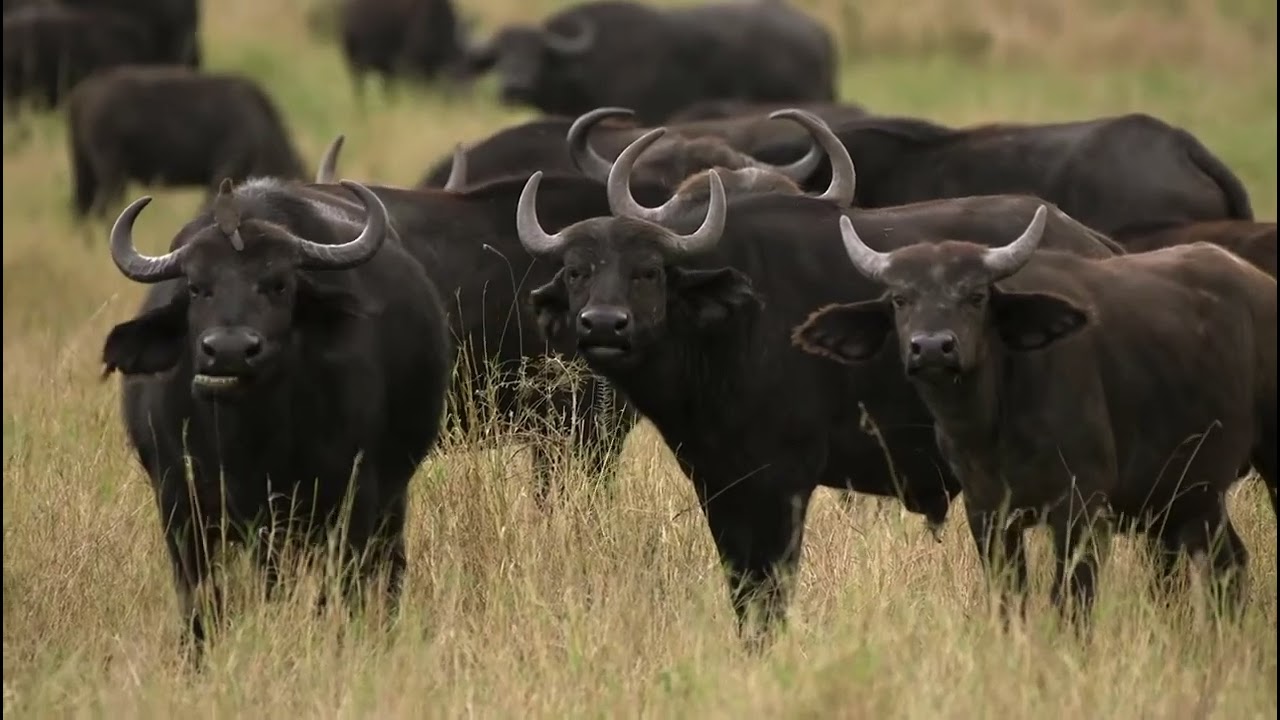 Mkombe's House by Nomad Tanzania