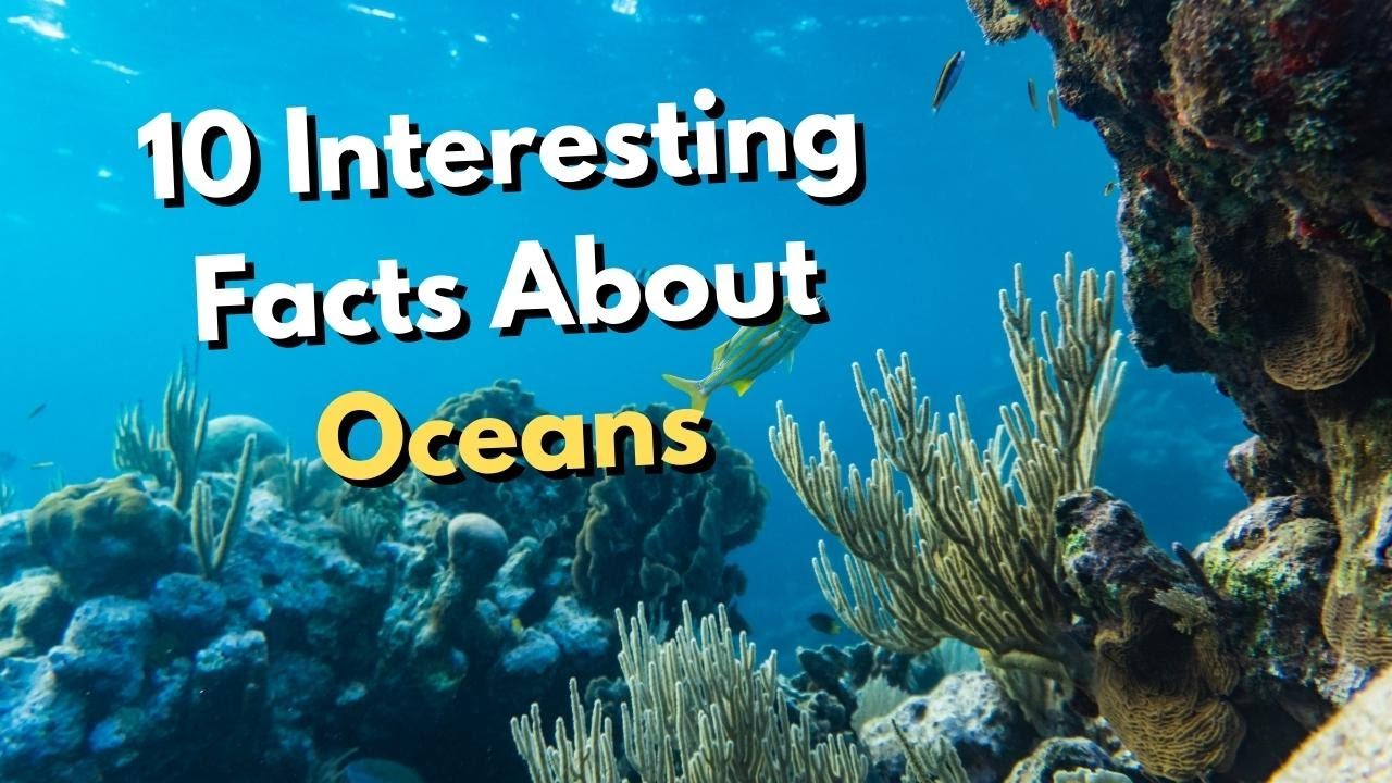 10 Interesting Facts About Oceans - YouTube
