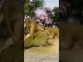 JURASSIC WORLD EVOLUTION 3 TRAILER 4 #jurassicworld #jurassicpark #jurassicworldevolution2 #trailer