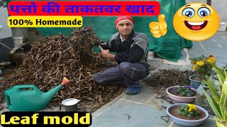 043?leaves compost ||homemade leaves compost || organic compost|| leaf mold compost ||