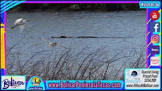 A Hidden Gem On Bolivar Peninsula For Home Owners In Crystal Beach, Texas