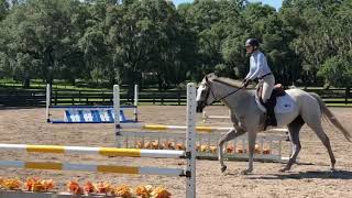 Sold - 3 Yo Tb Gelding.