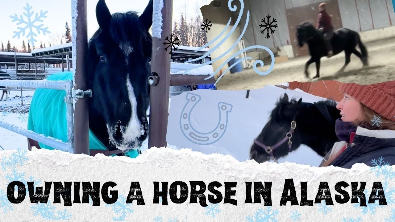 Девушка, занимающаяся верховой ездой на Аляске. Очень низкие температуры, советы по уходу за лоша...