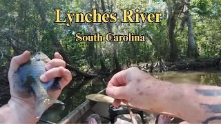 I Fished the Lynches River: And Got HUMBLED!