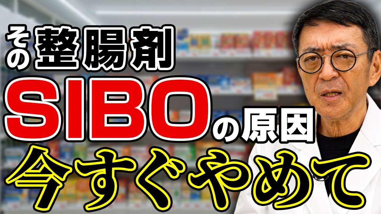 【医師が断言】整腸剤の「一番のおすすめ」は…ありません。良かれと思って飲むと起きる「SIBO」の真実