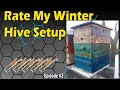 Rate My Winter Hive Setup Episode #2