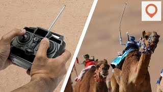 10 Reasons to Visit Qatar and Its Capital City of Doha