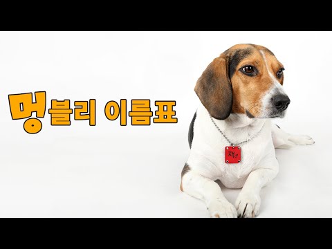 [멍블리 이름표] - 강아지, 고양이 인식표 이름표