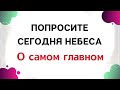 Попросите сегодня небеса и вы будете услышаны.