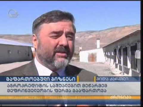 შეღავათიანი აგროკრედიტის პროექტის ფარგლებში კასპში ქათმის ფერმის მშენებლობა მიმდინარეობს
