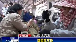 段木香菇 味道香濃口感好－民視新聞