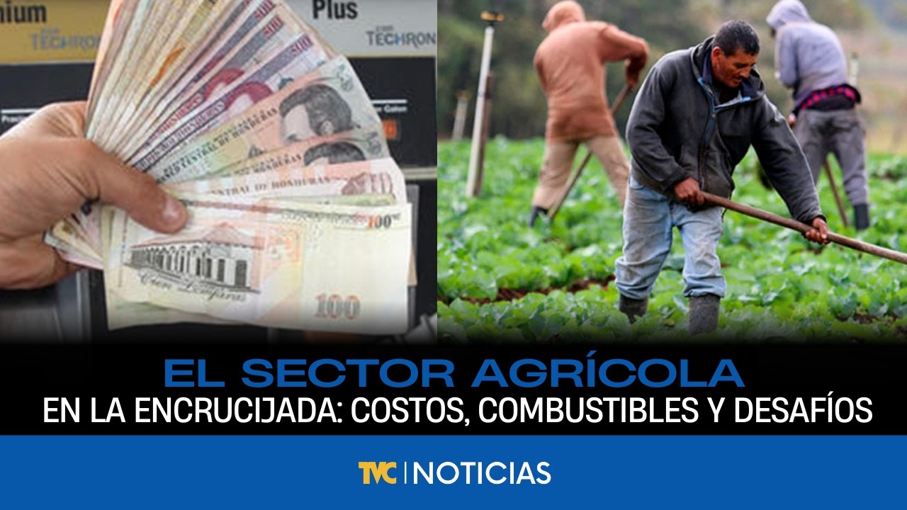 El Sector Agrícola en la Encrucijada: Costos, Combustibles y Desafíos