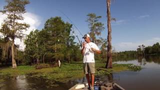 Perch Jerkin' 7/10/2016