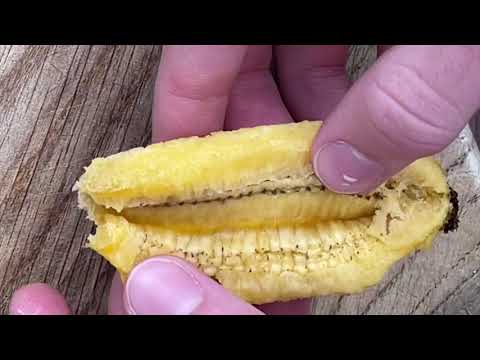 Видео: Как се пече кифла с бананов ананас
