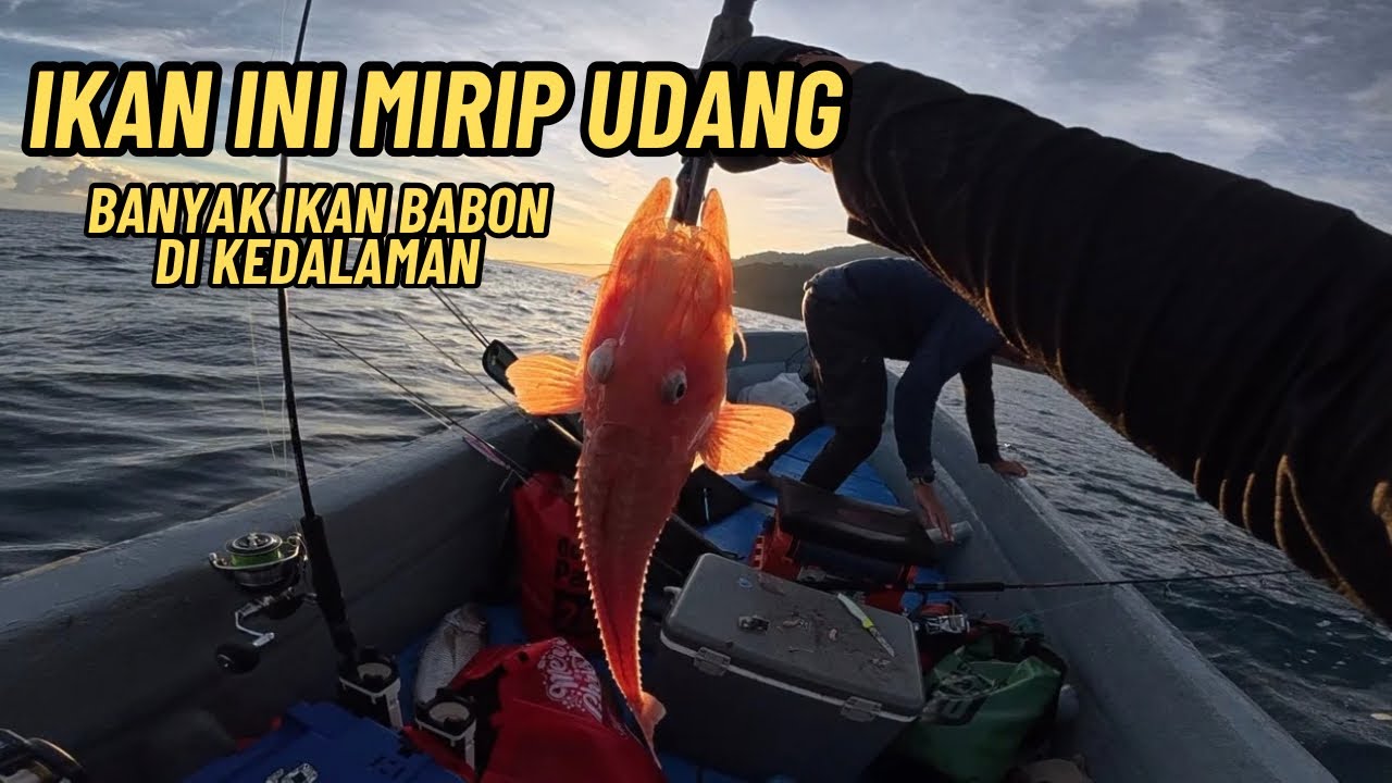 Spot Mancing Di Papua Part 2 | Isi nya Benar Semua Ikan Enak‼️