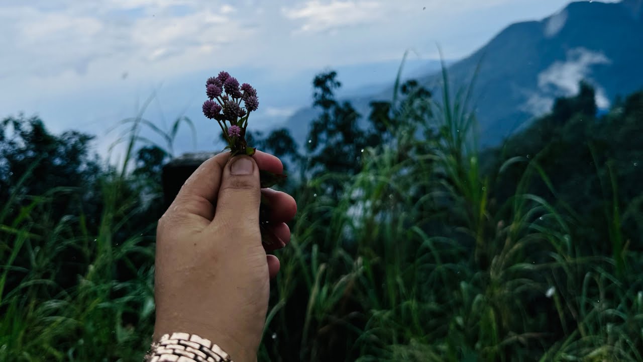 Pathibhara vlog sathi bhai sanga 