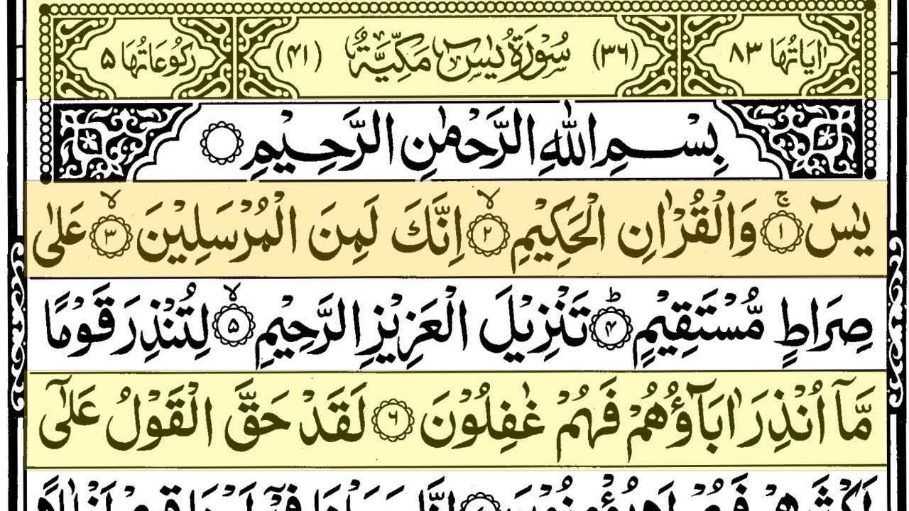 Surah Yaseen Surah Ar Rahman | Best Quran Recitation | Surah Yasin Tilawat | Episode_002