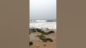 تلاوة رائعة للقارئ أنس محمد #تلاوة_خاشعة #تلاوة_هادئة #القرآن_الكريم #أنس_محمد