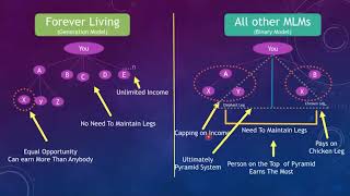Business Opportunity   BOPP   Forever Living Products