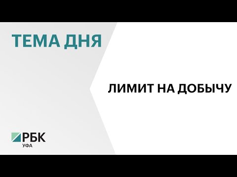 В Башкортостане предлагают увеличить лимиты добычи охотничьих видов