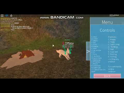 Wolves Life 3 Puppies And New Controls Youtube - how to run in roblox wolves life 3