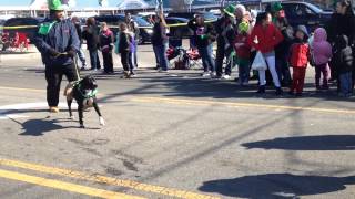 St. Patricks Day Parade