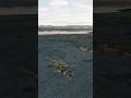 Mi24P Hinds on the attack #dcs #dcsvr #dcsworld #gaming #gameplay #shortsfeed #shorts #short #viral