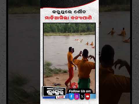 ଶୌଚ ସମୟରେ ମାଡ଼ି ଆସିଲା ବନ୍ୟା ପାଣି....#odishabhaskar #Shorts #floodwater #youth