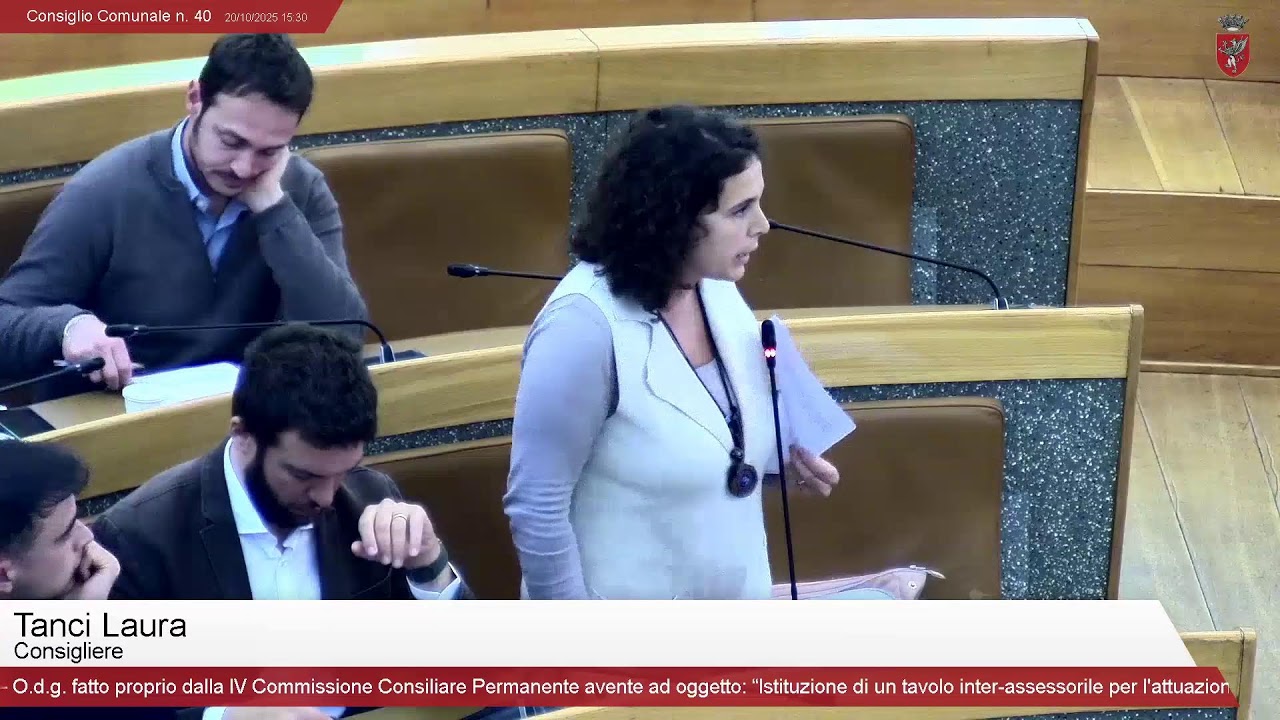 Consiglio Comunale n. 40