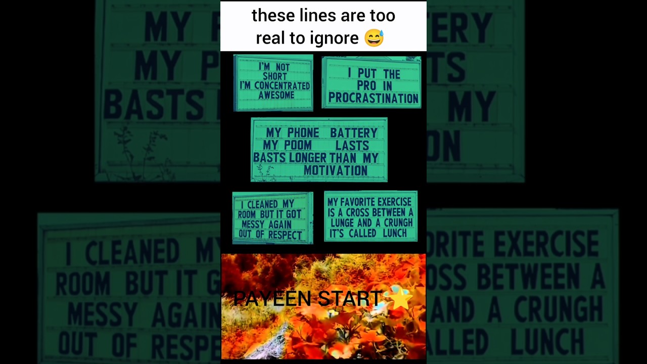 these signboards deserve their own comedy show 😂🪧