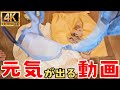 たまには全身…🍋