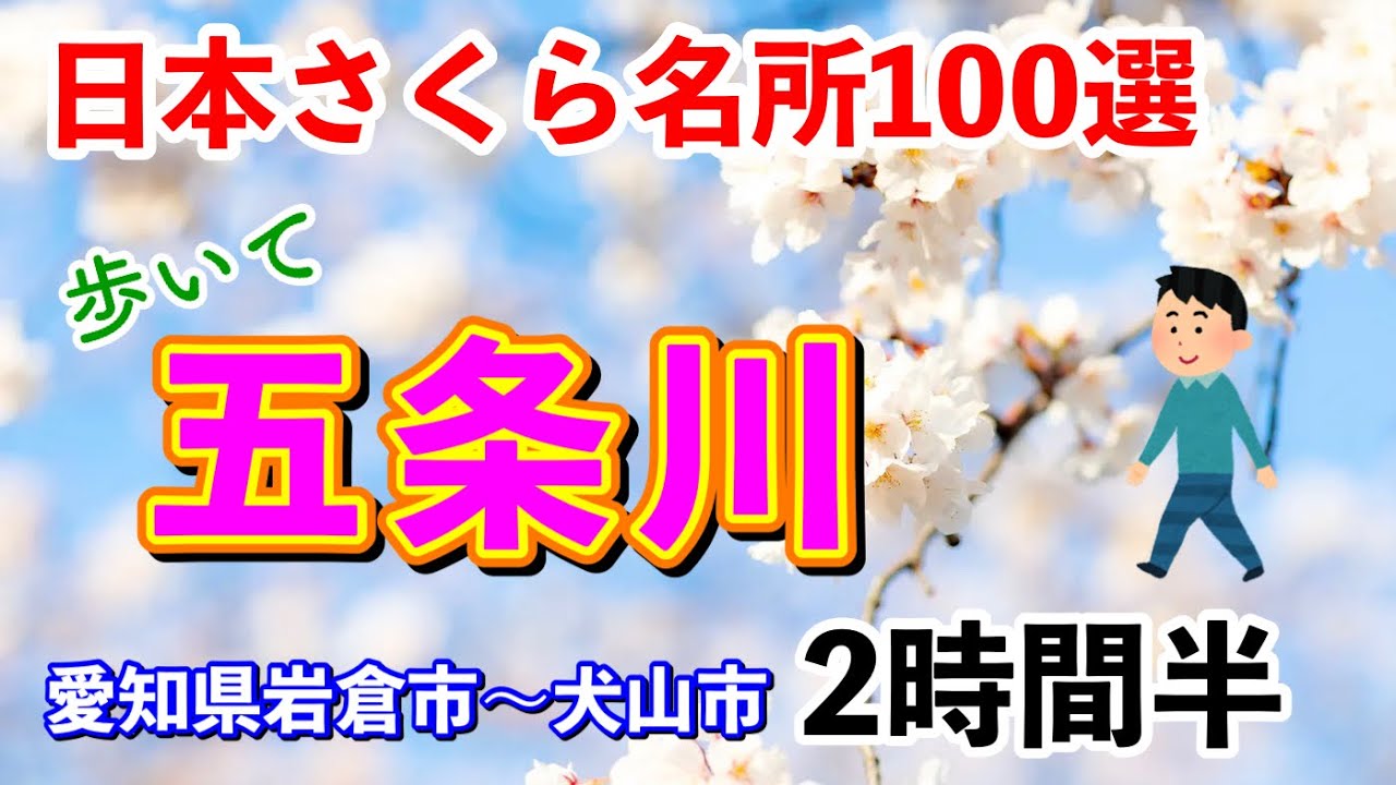 [車載とドライブしない動画]愛知県岩倉市「五条川」沿いを犬山市羽黒まで歩く