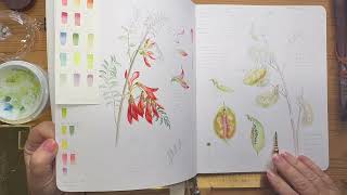Botanical travel Sketchbook    HD 1080p