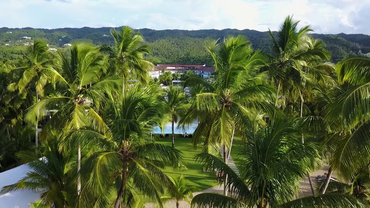 Tour above Sublime Samaná