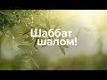 #Суббота святая - радость неземная! 2021.06.05 #АрхиепископСергейЖуравлев #ШаббатШалом всем שבת שלום