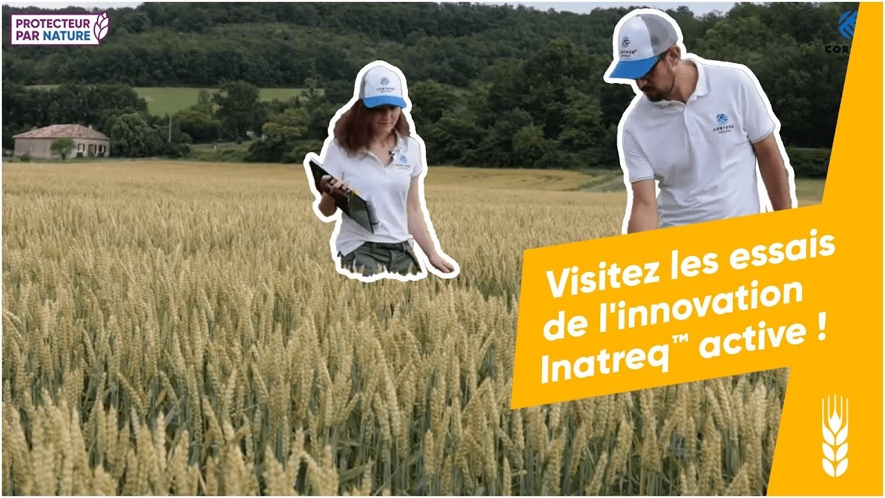 Inatreq™ active contre la septoriose : découvrez les essais au champ