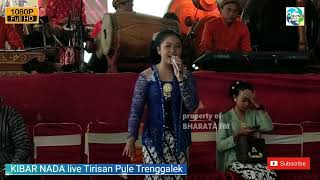 Terbaru Bendungan Tugu Njerit Ati  Versi Cdanursari Tayub  Rara kibarnada