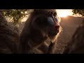 30 Second Lion King Teaser. (My Cut)