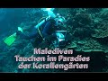 Malediven - Tauchen im Paradies der Korallengärten